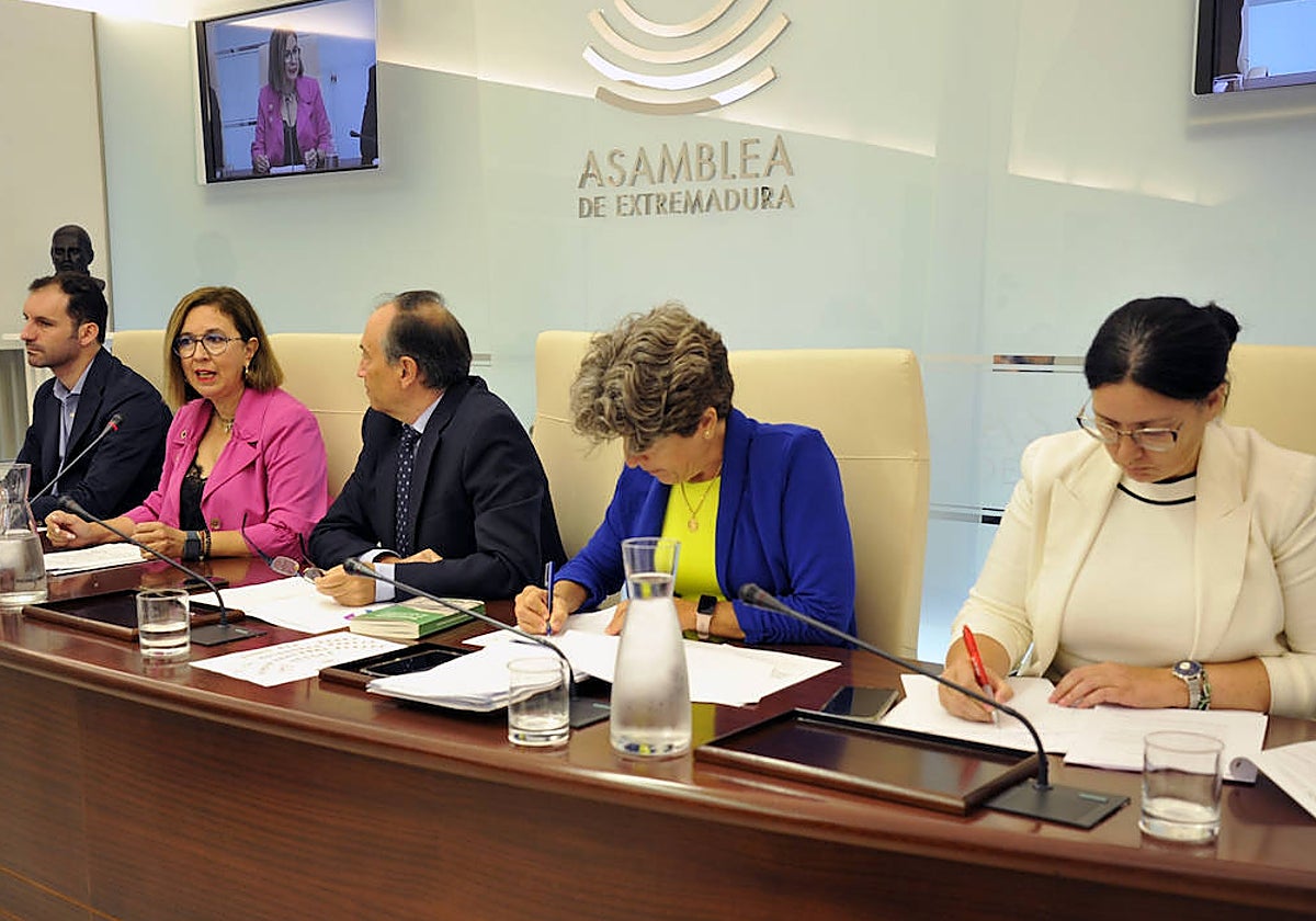 Mercedes Morán, segunda por la izquierda, en su comparecencia en la Asamblea.