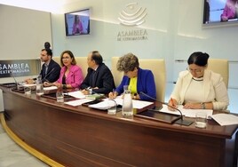 Mercedes Morán, segunda por la izquierda, en su comparecencia en la Asamblea.