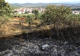 El Infoex actúa en dos incendios forestales y nueve incidentes la pasada semana