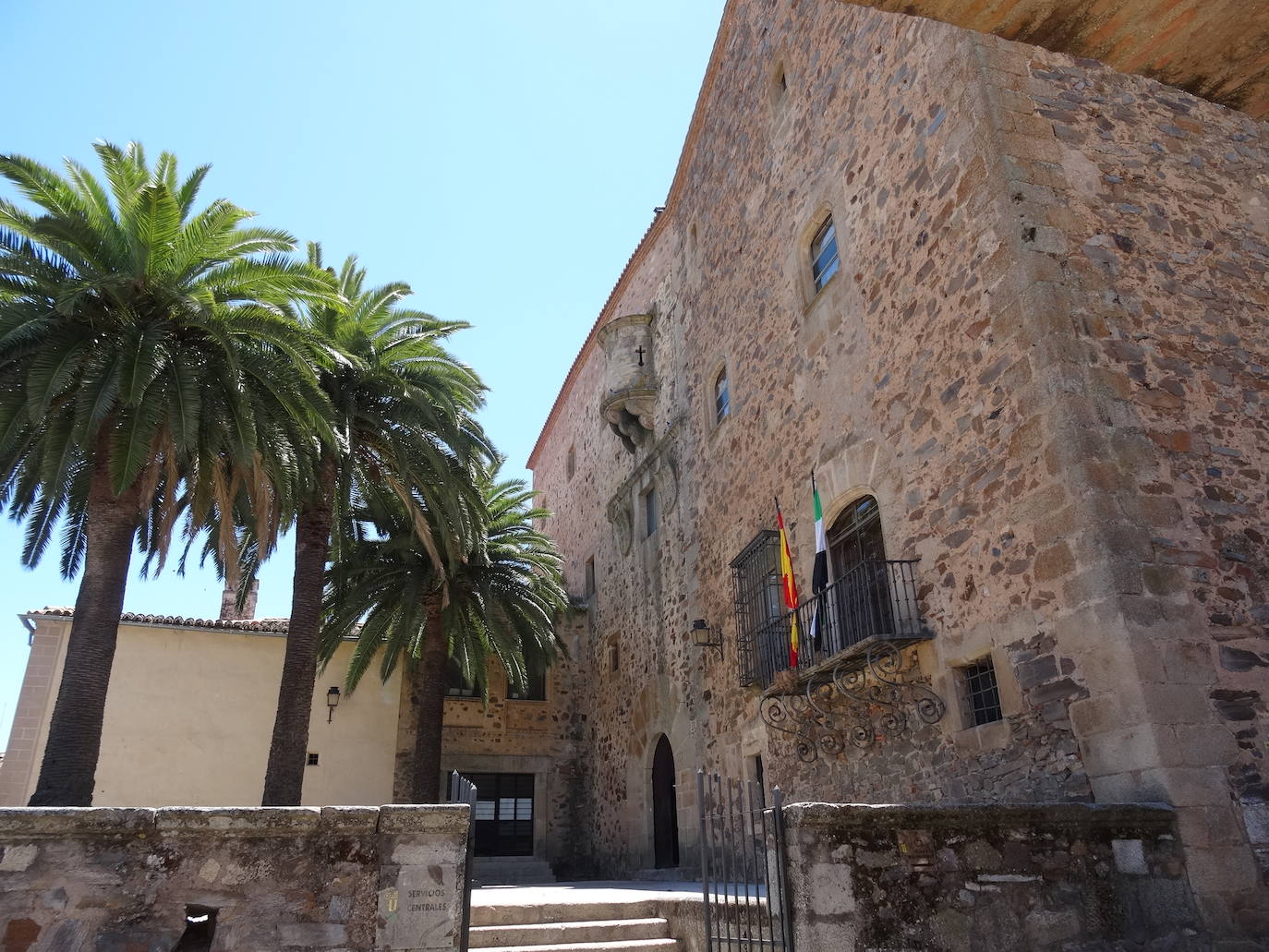 Las tres hermosas palmeras del palacio de la Generala.