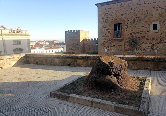 Antonio Floriano Cumbreño recomendaba ver la Ciudad Monumental desde el jardín de la barbacana del palacio de la Generala. Ahora no hay jardín, hay una gran explanada de piedra y tres tocones de las palmeras muertas.