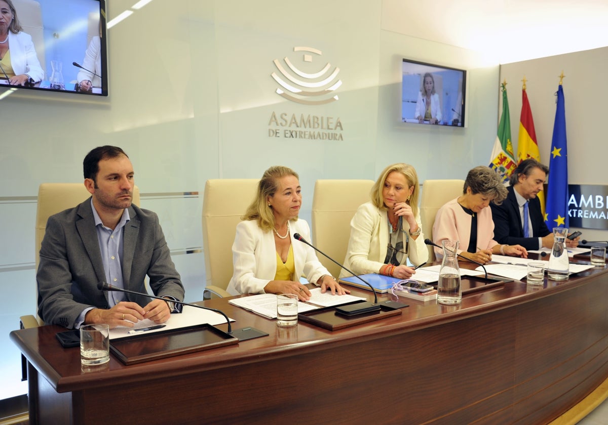 La consejera de Educación, Mercedes Vaquera, en la Asamblea.