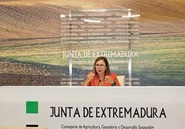 La consejera Mercedes Morán en rueda de prensa.