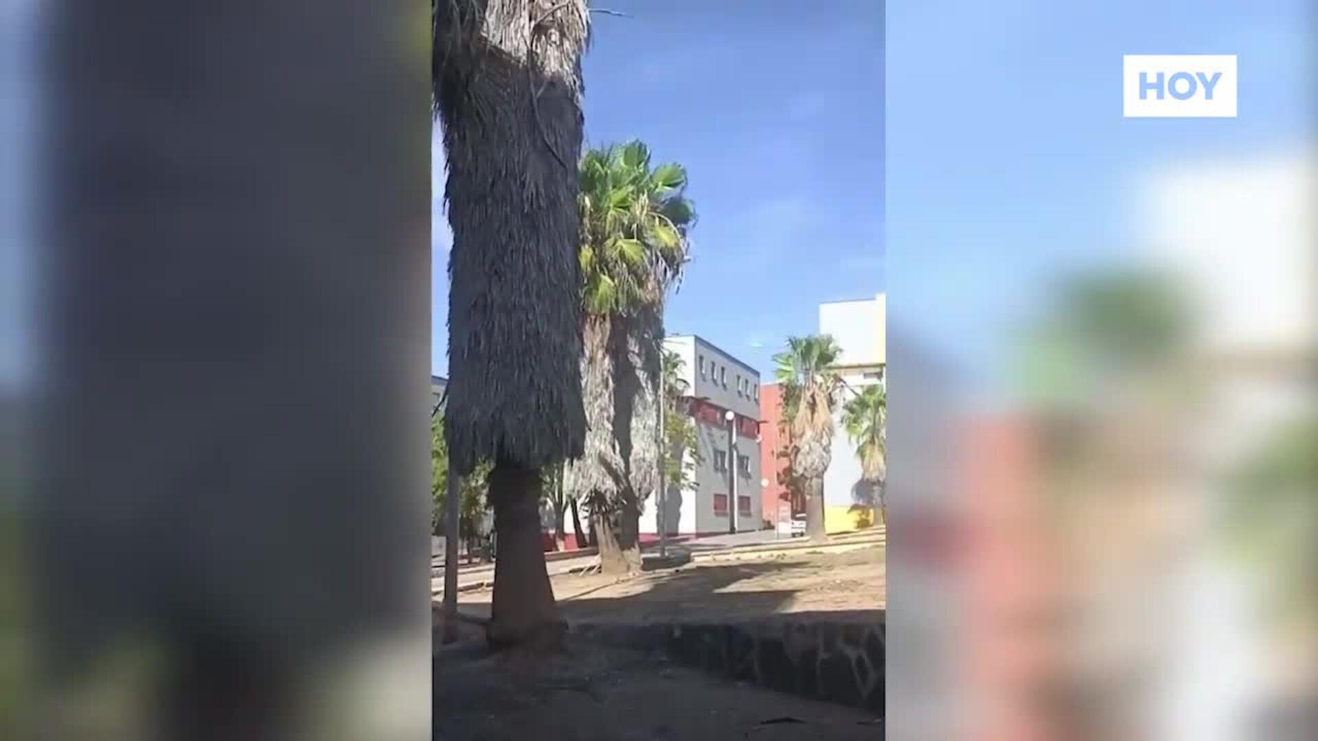 Así se escuchó el tiroteo en Los Colorines