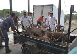 Imágenes de la monumental cacería de Azuaga