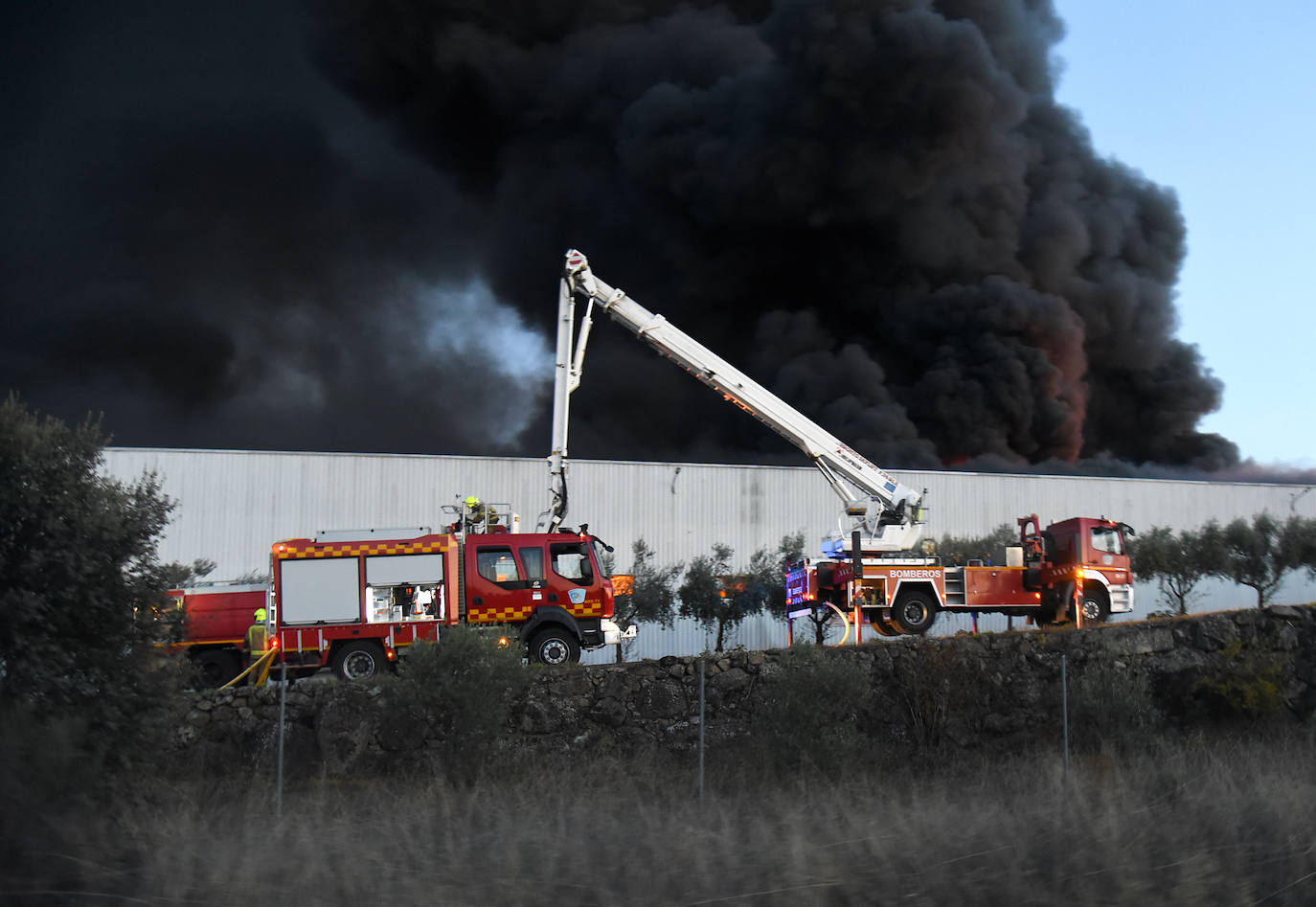 Imágenes del incendio en una aceitunera de Montehermoso