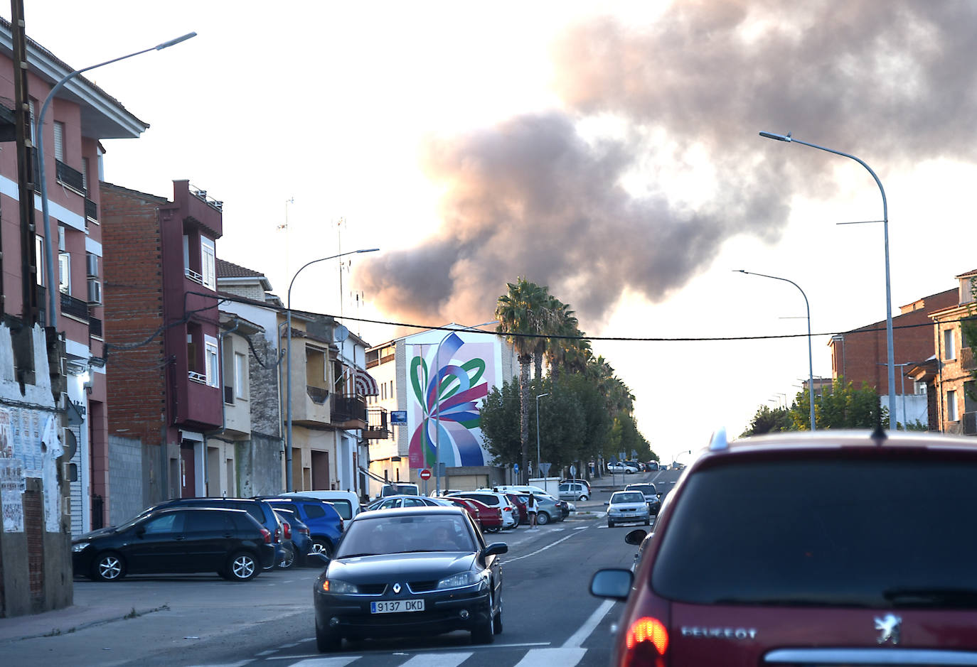 Imágenes del incendio en una aceitunera de Montehermoso