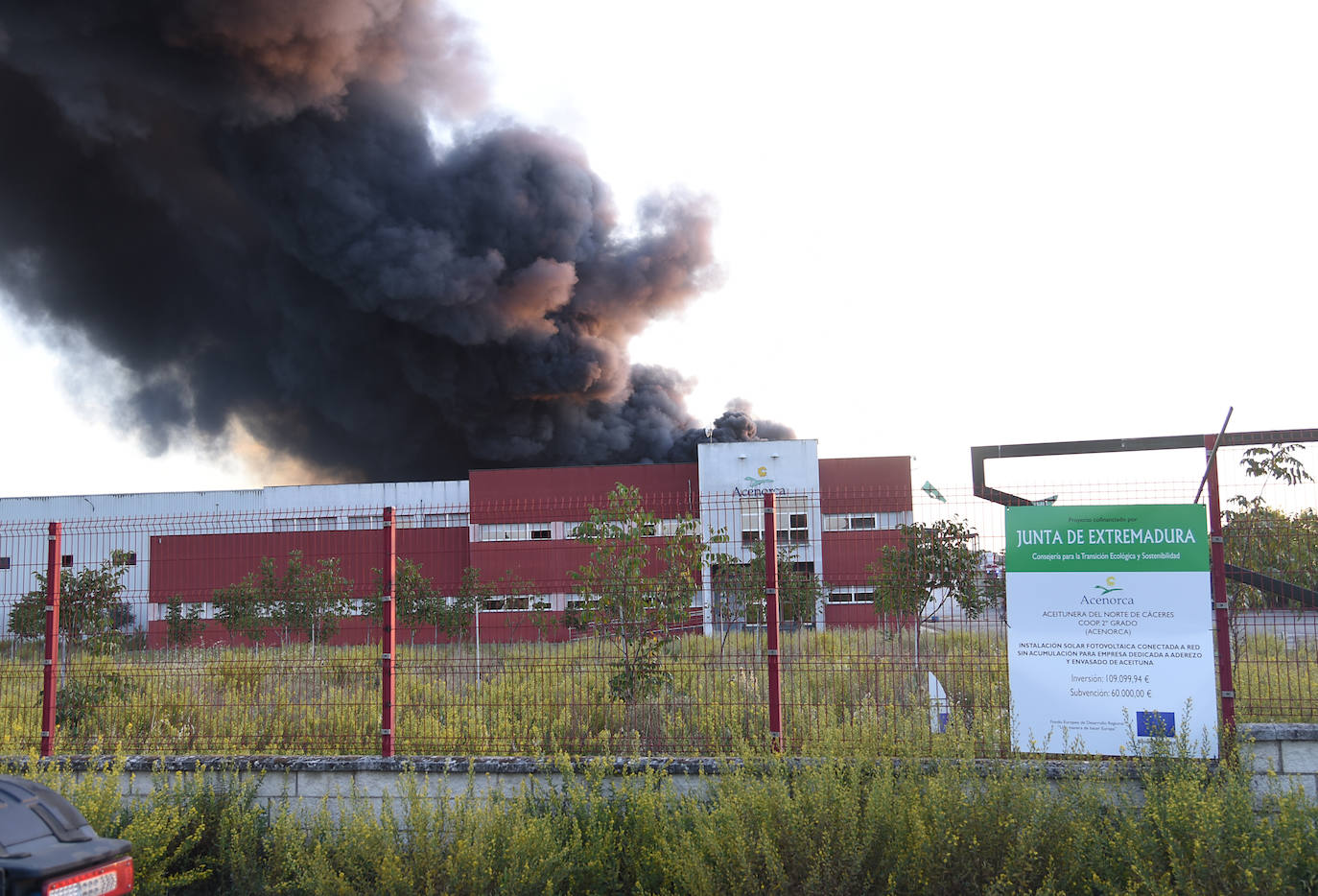 Imágenes del incendio en una aceitunera de Montehermoso