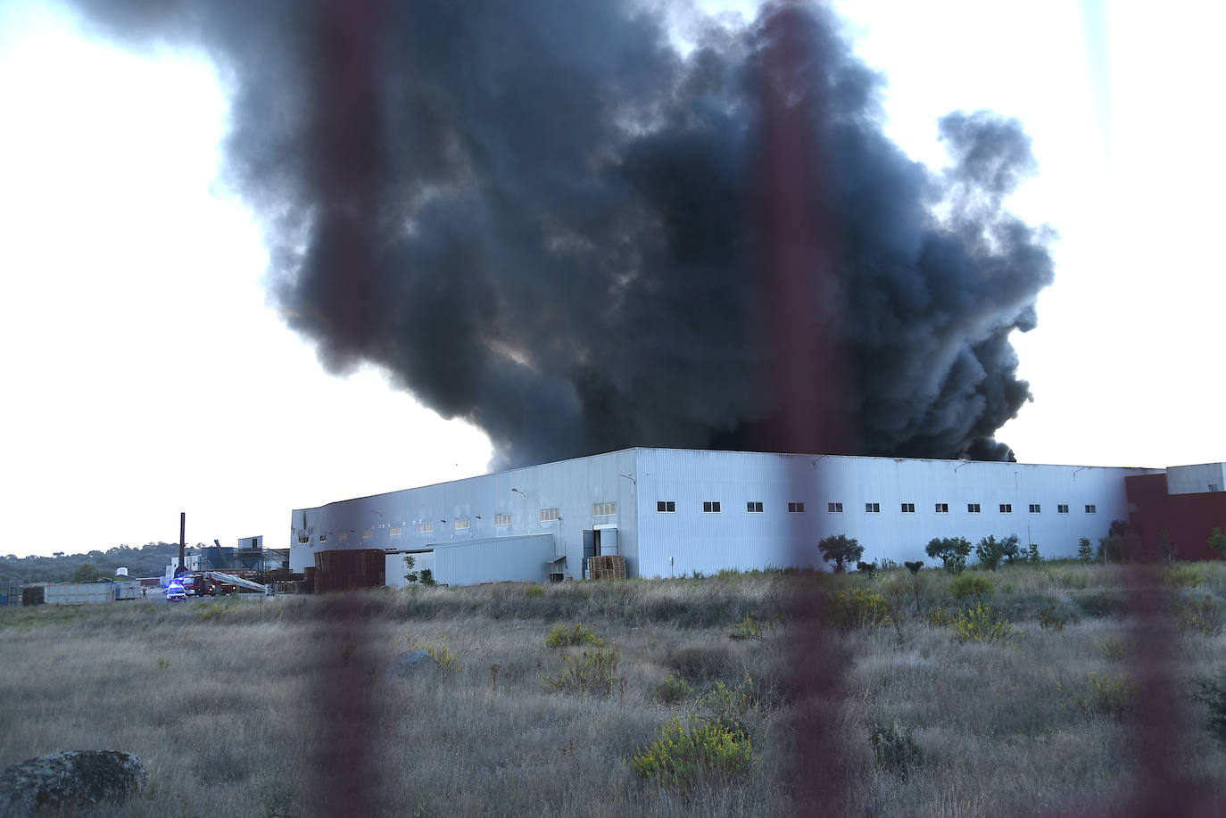 Imágenes del incendio en una aceitunera de Montehermoso