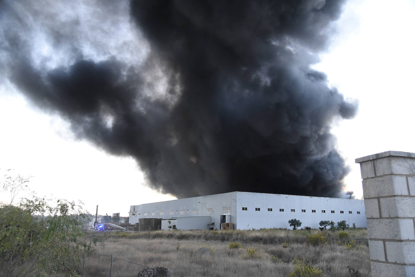 Imágenes del incendio en una aceitunera de Montehermoso