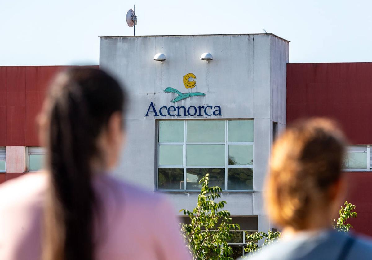 Acenorca retoma la recepción de aceituna con normalidad tras el incendio