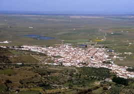 La plantación la tenía en Sierra de Fuentes.