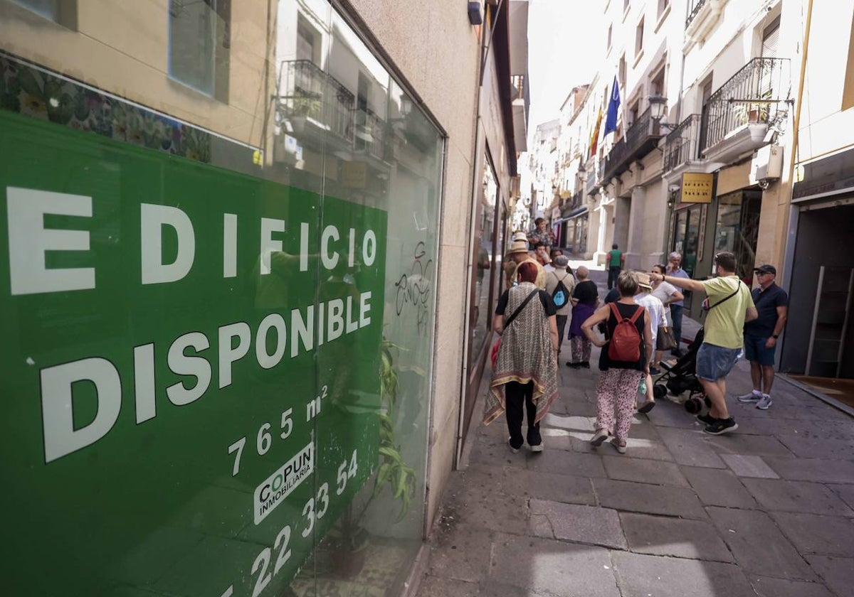 Imagen de la calle Pintores, donde el 32 por ciento de sus locales comerciales están cerrados.