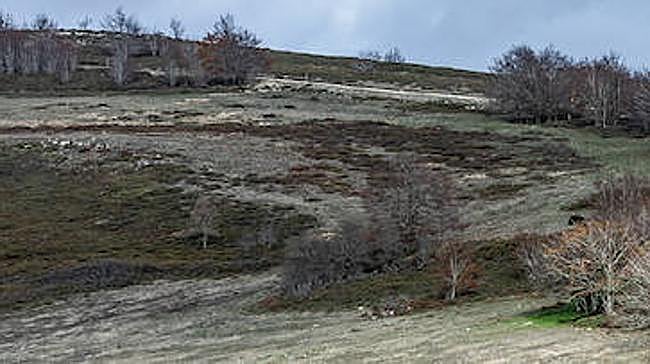 Imagen antes - El universo de Ortega Muñoz convertido en fotografías