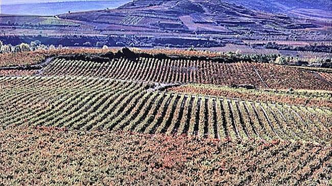 Imagen antes - El universo de Ortega Muñoz convertido en fotografías