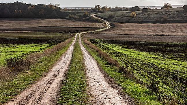 Imagen antes - El universo de Ortega Muñoz convertido en fotografías
