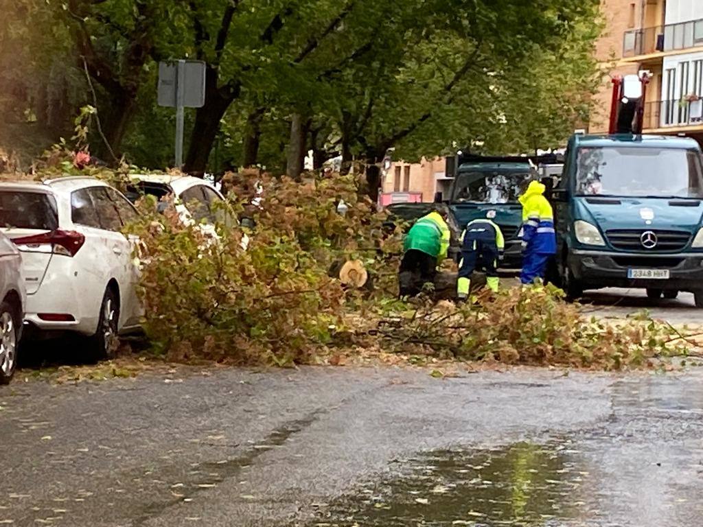 Efectos de la borrasca Aline en Badajoz