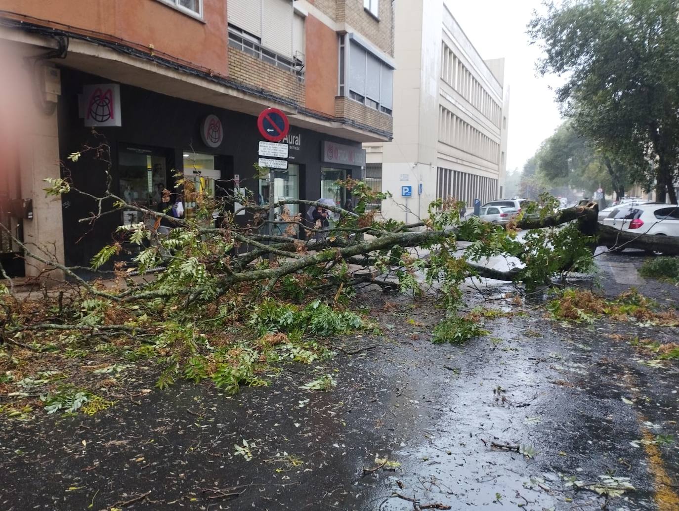 Temporal de viento y lluvia en Extremadura