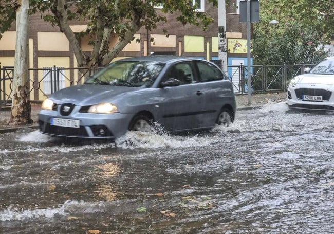 Balsa de agua en la Ronda de los Eméritos, en Mérida.