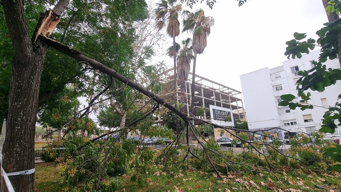 La borrasca Aline a su paso por Mérida