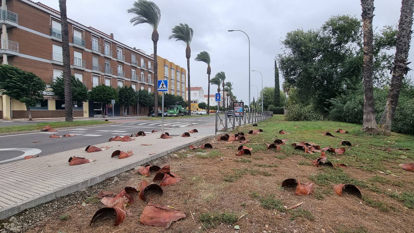 La borrasca Aline a su paso por Mérida