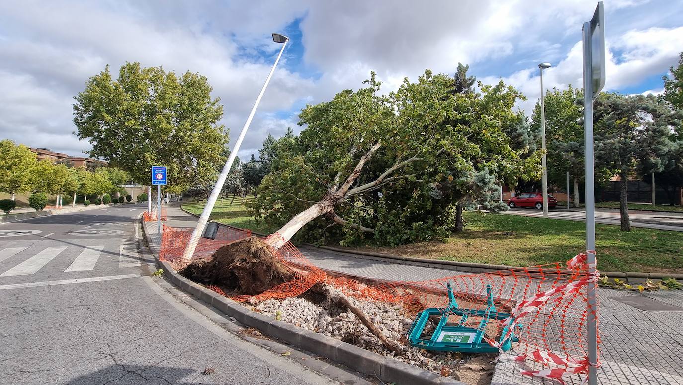 La borrasca Aline a su paso por Mérida