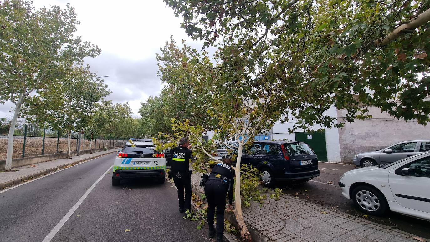 La borrasca Aline a su paso por Mérida