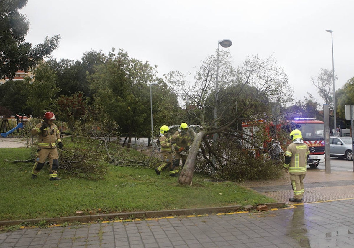 Los bomberos retiran un árbol derribado por el viento.