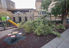 Un árbol caído sobre un parque infantil en Cáceres.