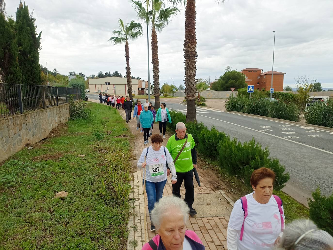 Unas 400 personas participan en la V Marcha Rosa de Alburquerque