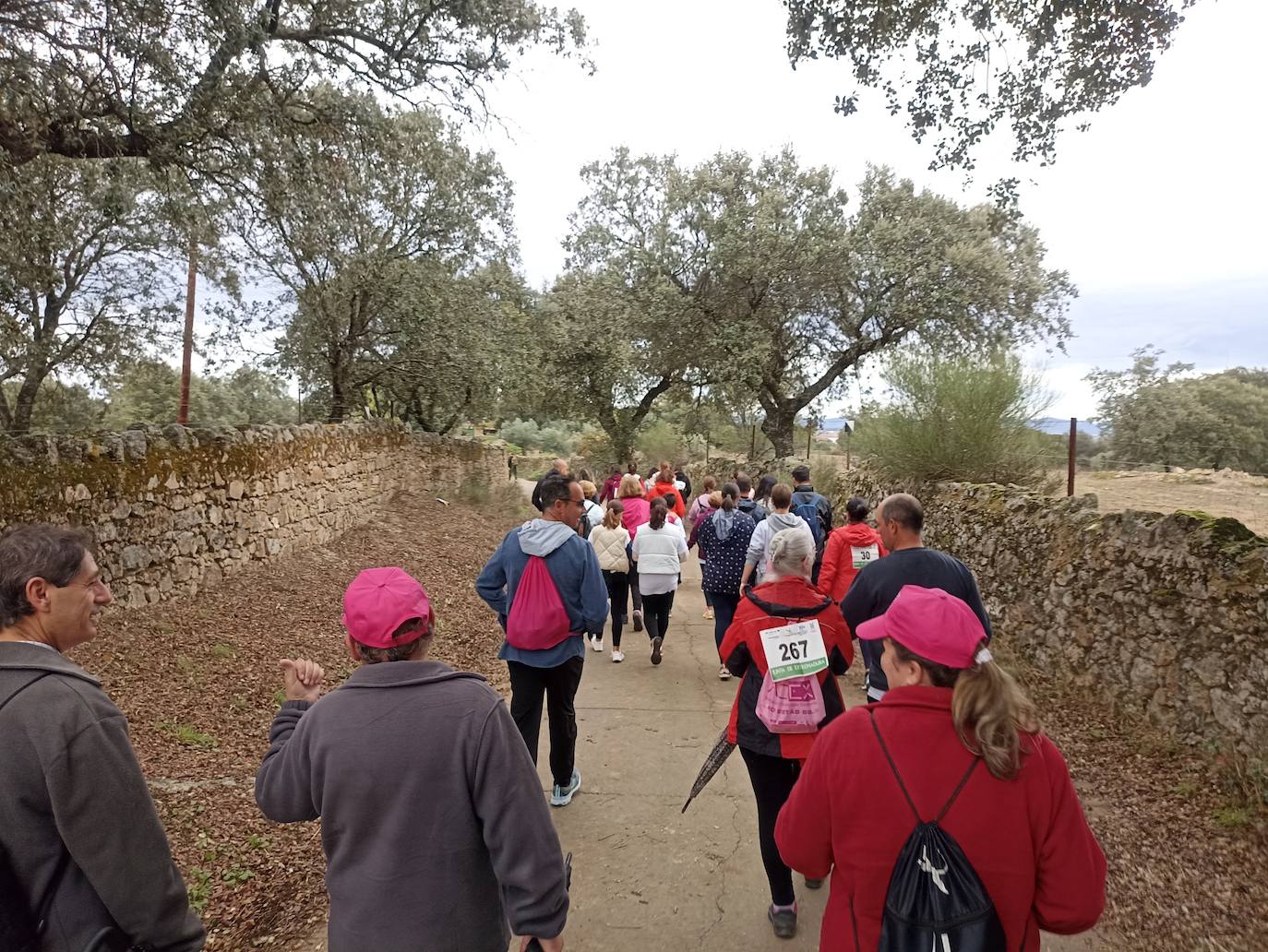 Unas 400 personas participan en la V Marcha Rosa de Alburquerque