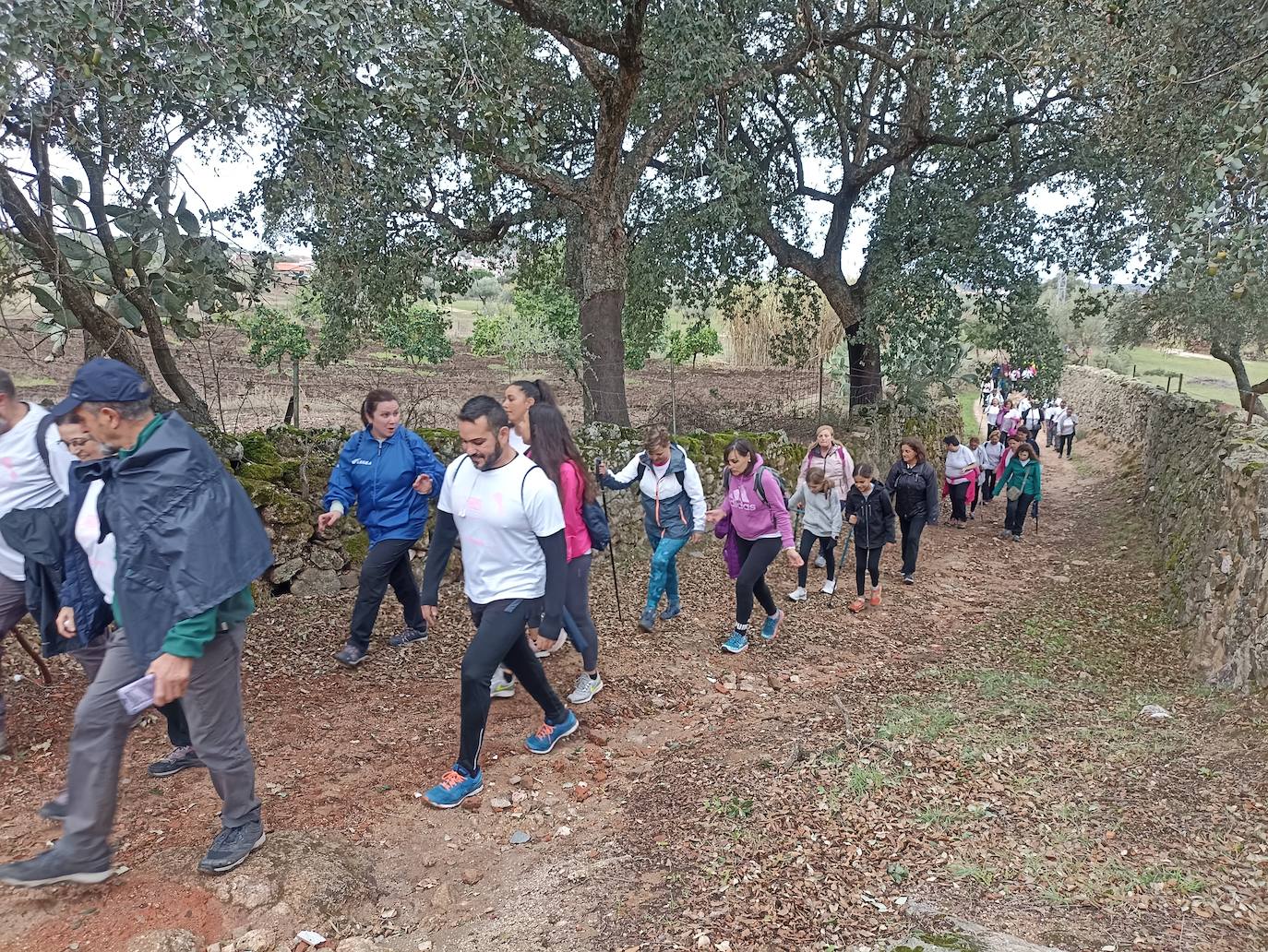 Unas 400 personas participan en la V Marcha Rosa de Alburquerque