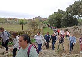 V Marcha Rosa de Alburquerque