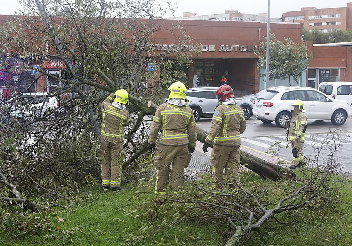 Cáceres cerrará los parques este domingo por la llegada de la borrasca 'Bernard'