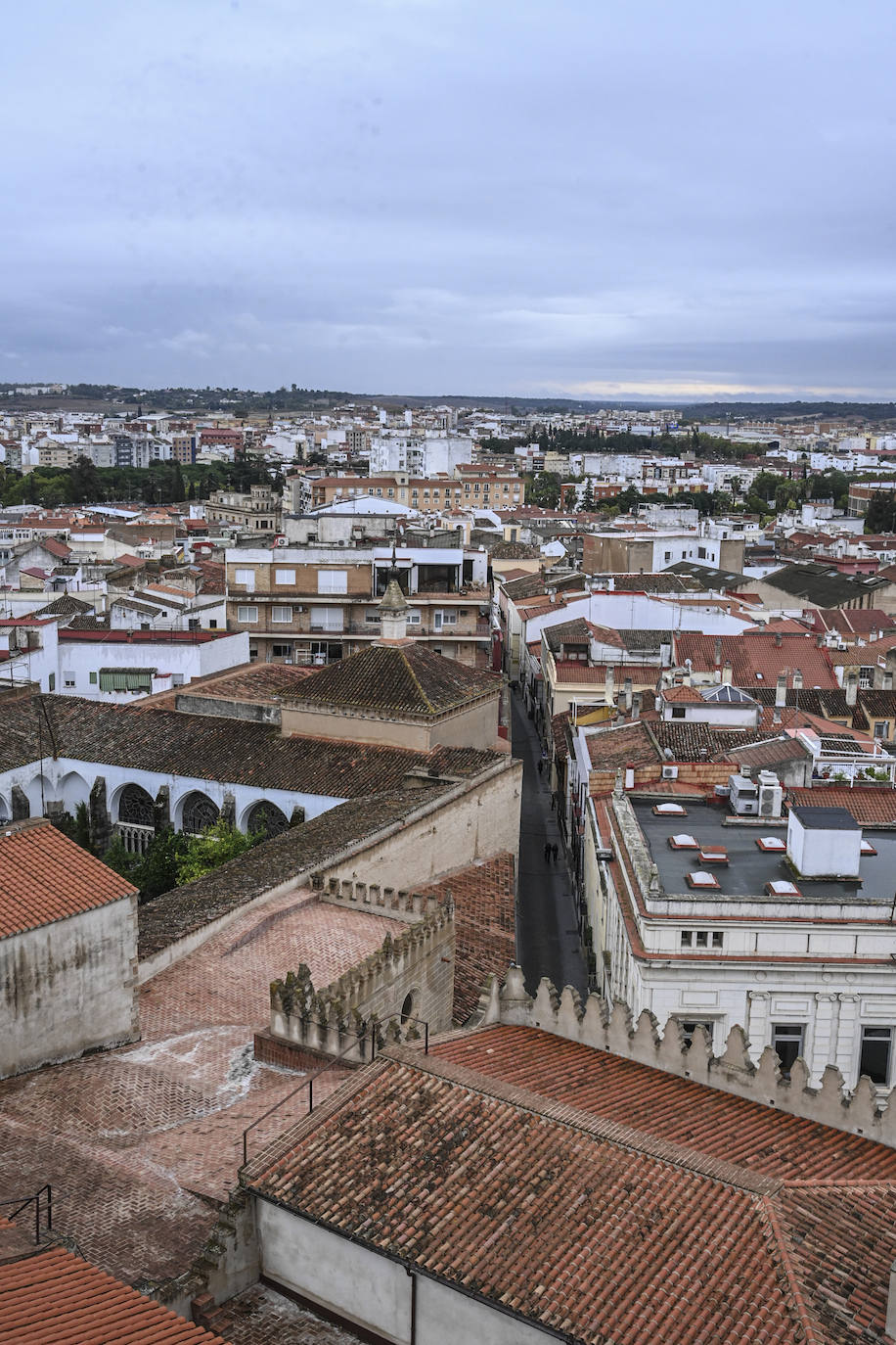 Así se ve Badajoz desde la torre de la catedral (II)