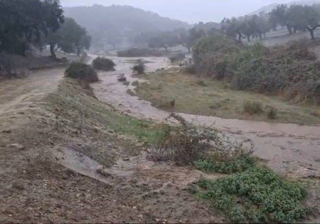 Así bajaba hacia la presa de Tentudía uno de los arroyos que deja agua en ella, ayer, a media tarde.