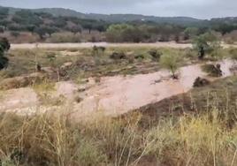 La Rivera de Sansuste, tributaria del embalse de Villar del Rey, donde se registraron unas precipitaciones de 113 litros/m2 el pasado jueves.