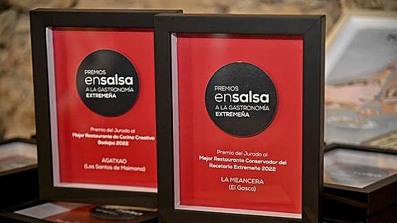 Este es el regalo que puedes ganar por votar en los premios En Salsa