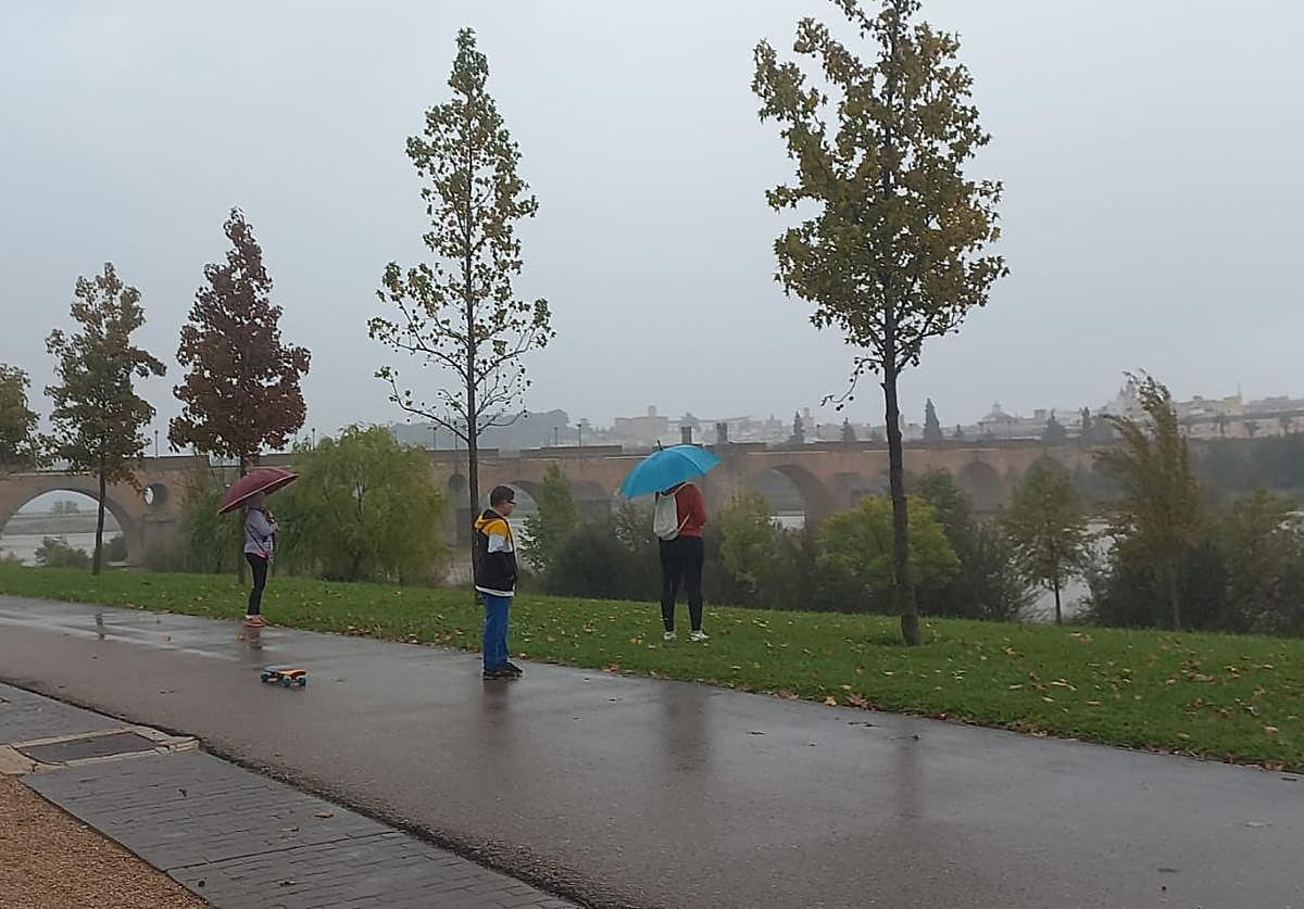Lluvia en el parque del río, en Badajoz, este miércoles por la mañana.