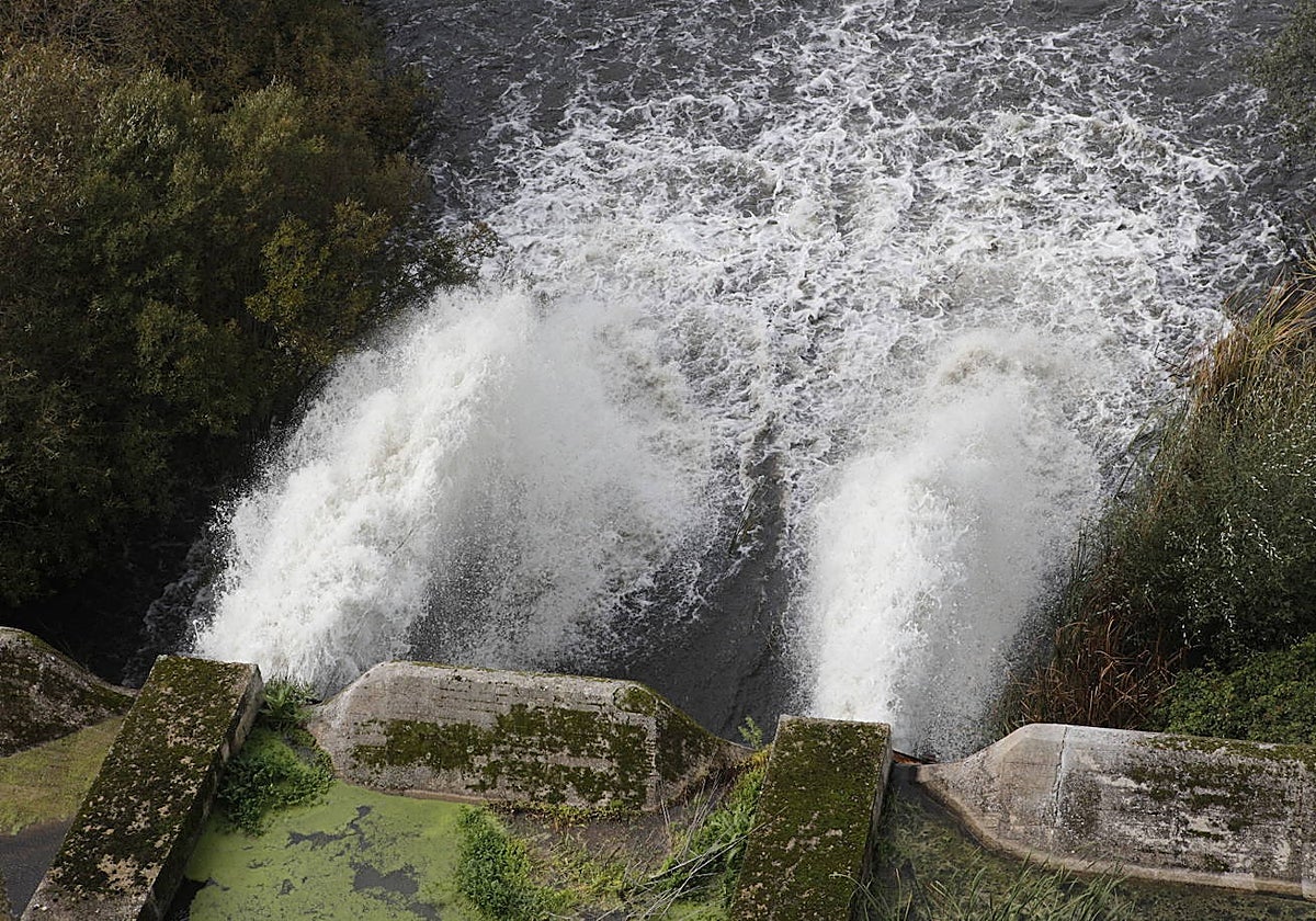Desembalse de la presa del Guadiolaba, en Cáceres, esta mañana.