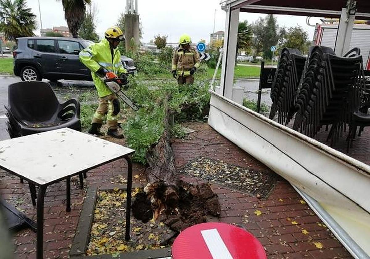 Intervención de los bomberos de los parques del SEPEI de la Diputación Provincial de Cáceres este jueves.