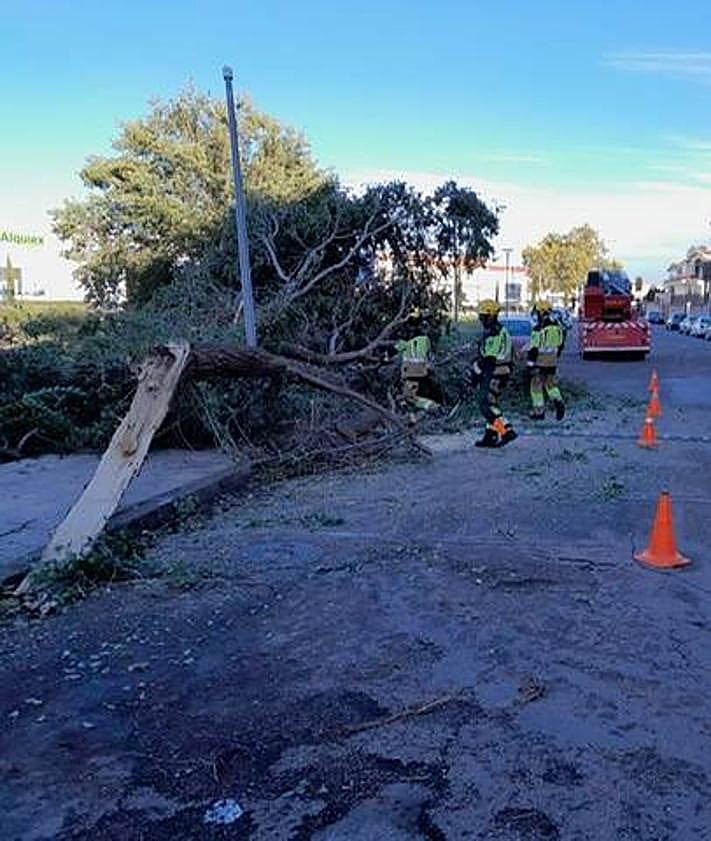 Imagen secundaria 2 - Intervenciones realizadas por los bomberos.