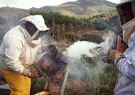 Apicultores hurdanos con una de las colmenas de su explotación apícola.