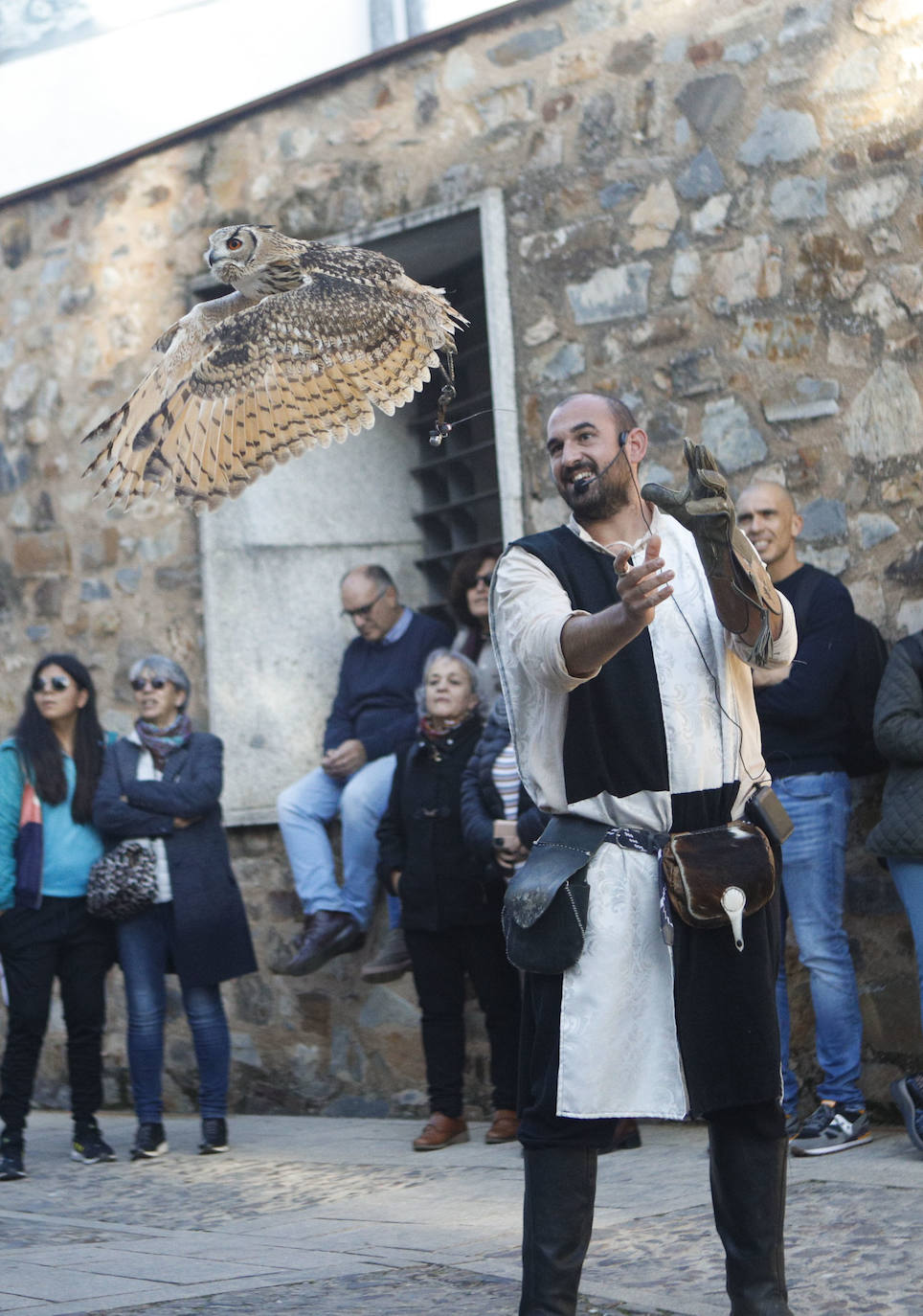 Las rapaces regresan al Mercado Medieval de Cáceres