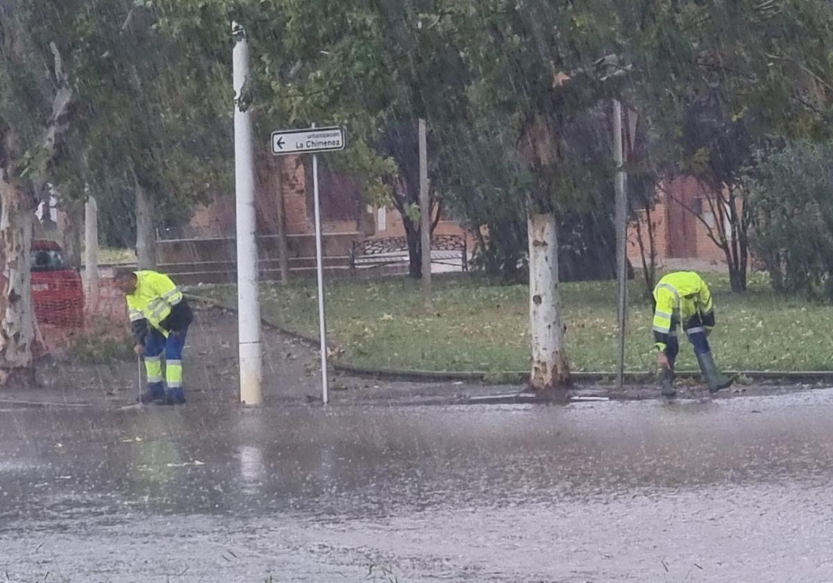 Dos operarios de Aqualia limpiando la alcantarillas en La Chimenea para evitar las balsas.