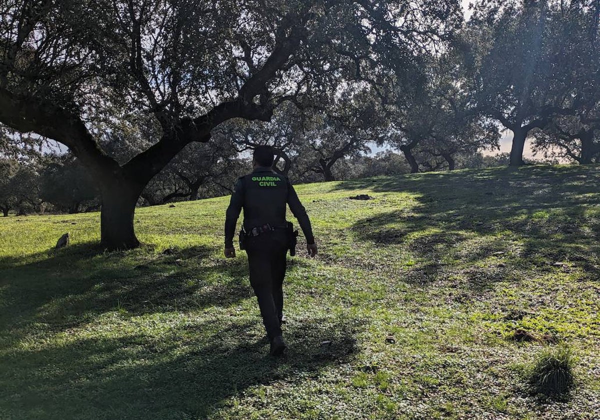 Un guardia civil, durante la búsqueda del autor de los disparos en Jerez la semana pasada.