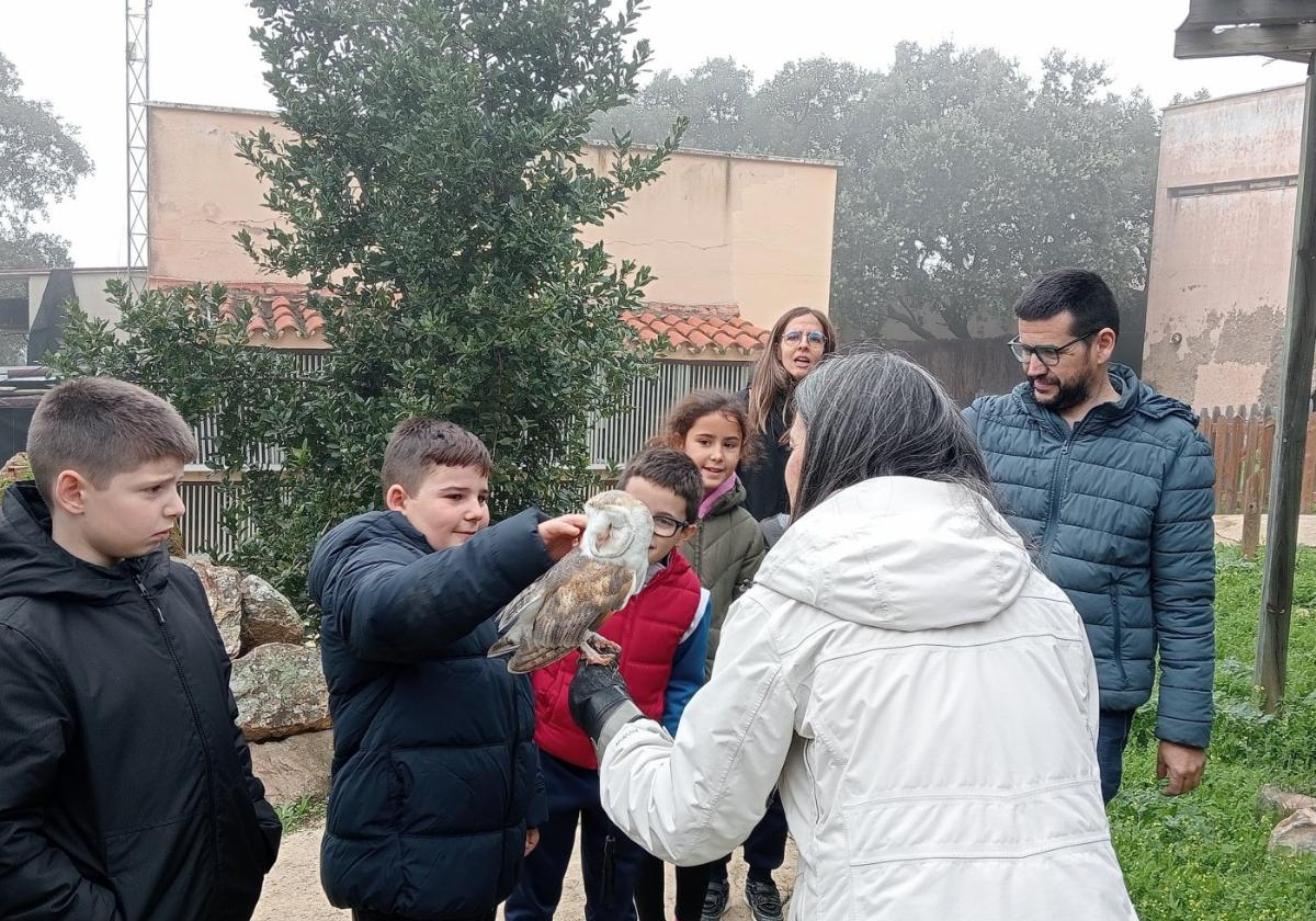 Varios alumnos y profesoras, alguno temeroso, ante las rapaces.