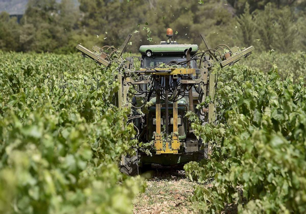 El reto de rejuvenecer el agro