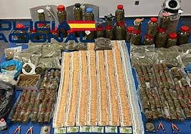 Efectos intervenidos en la vivienda.