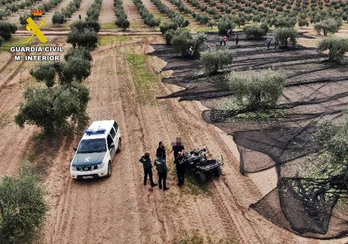 Fraude Seguridad Social: Hasta seis años de prisión por tener a 14  trabajadores cogiendo aceitunas sin contrato | Hoy